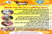 پیشگیری از تب کریمه کنگو 